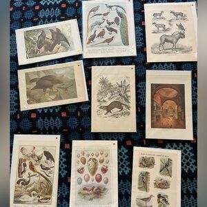 lot of 9 antique/vintage prints ready for framing